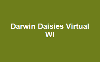 Darwin Daisies Virtual WI