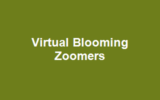 Virtual Blooming Zoomers