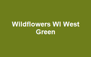 Wildflowers WI West Green