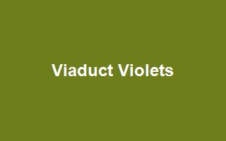 Viaduct Violets