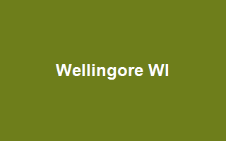 Wellingore WI